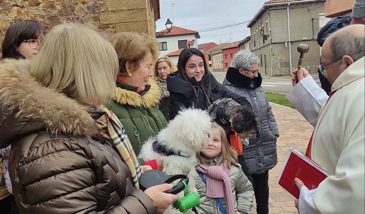Fiesta de San Antón, en Santa Cristina.