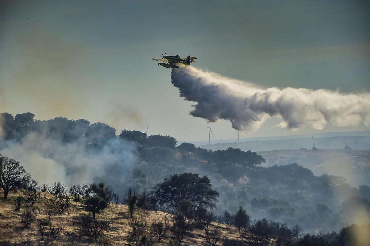 Fotogalería | Imágenes del incendio forestal en Plasencia de este jueves Fotogalería | Imágenes del incendio forestal en Plasencia de este jueves