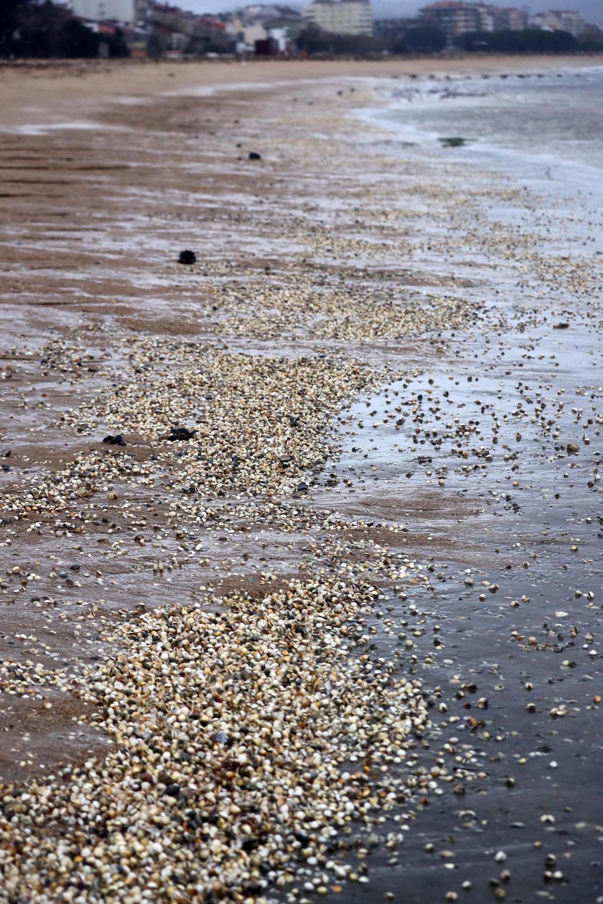 La playa vilagarciana, ayer.
