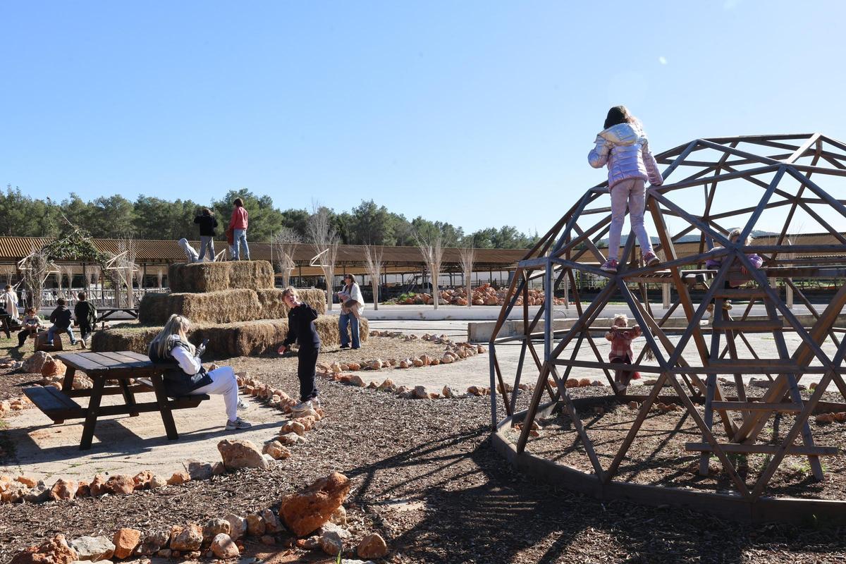 Las imágenes de 'Sábados en Juntos Farm', en Santa Gertrudis Las imágenes de 'Sábados en Juntos Farm', en Santa Gertrudis