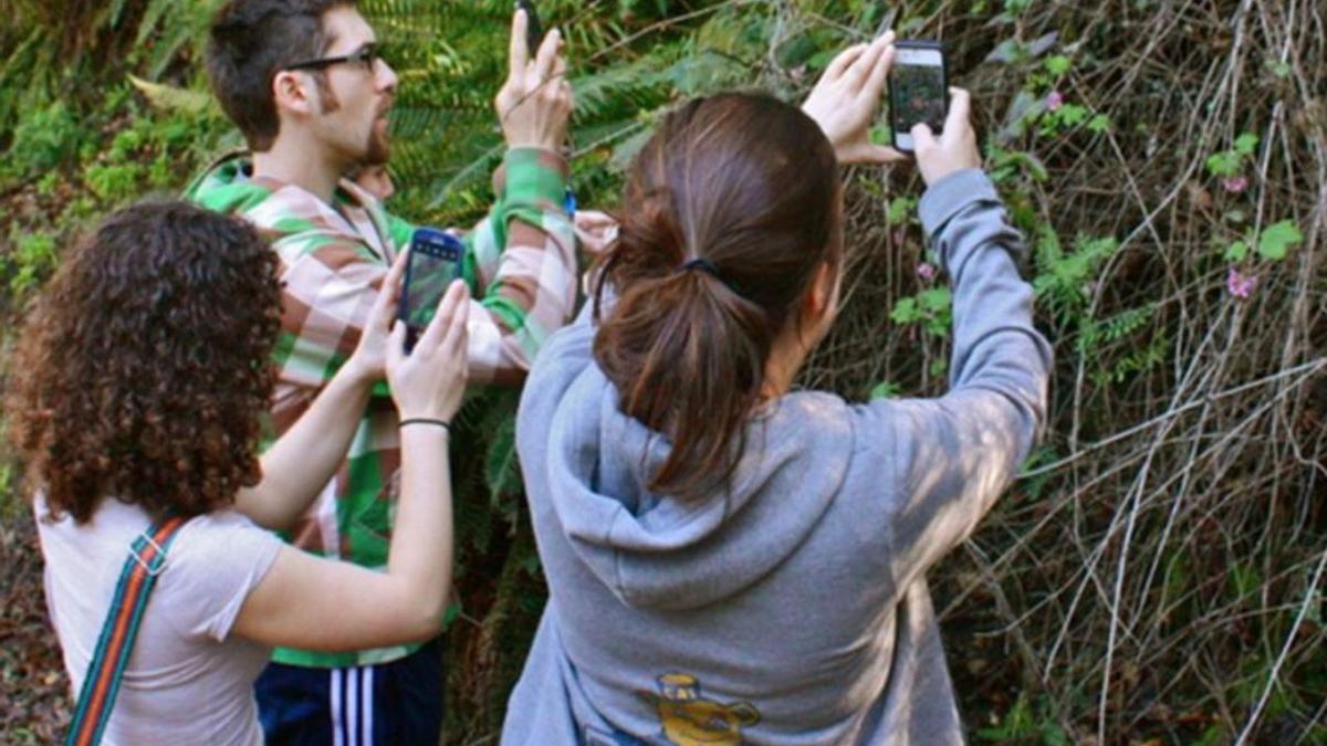 Una introducció al món de la ciència ciutadana, amb un taller a la natura, dissabte