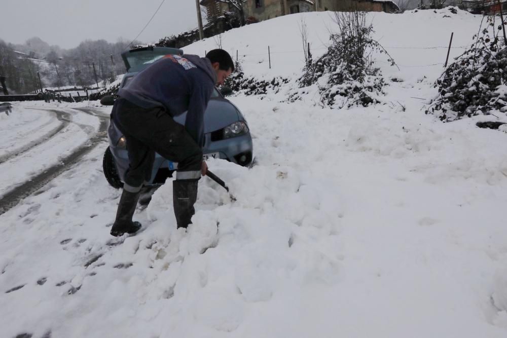 Temporal de nieve en Viego (Ponga)