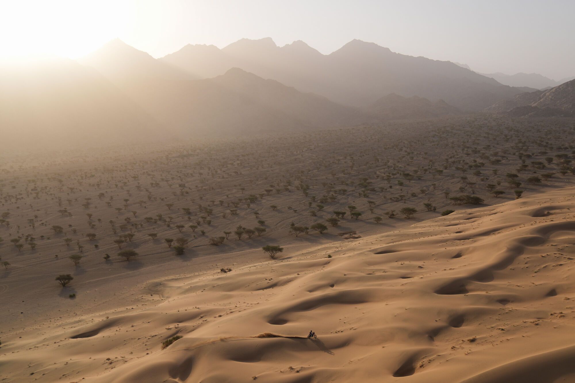 La 12ª etapa del Rally Dakar 2026, en imágenes