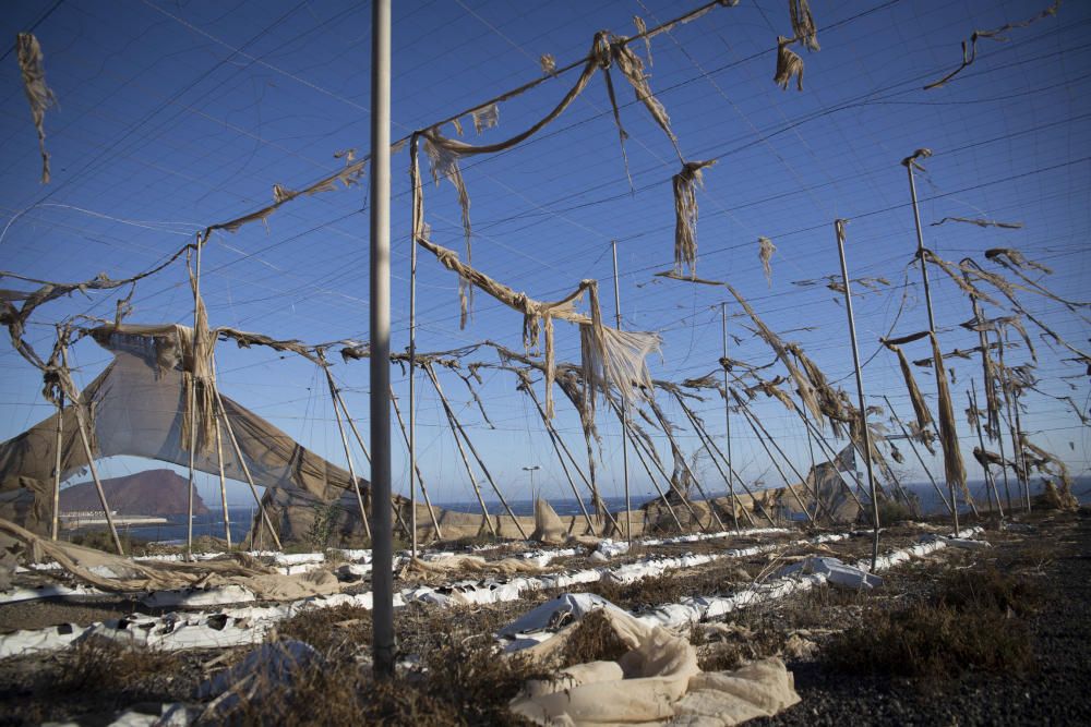 Fotos de invernaderos abandonados en el Sur de ...