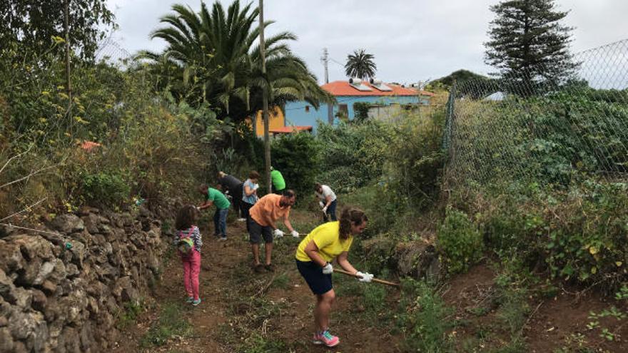 Vecinos del barrio de San Jerónimo, en Tacoronte, limpiaron y acondicionaron un tramo del llamado Callejón Grande.