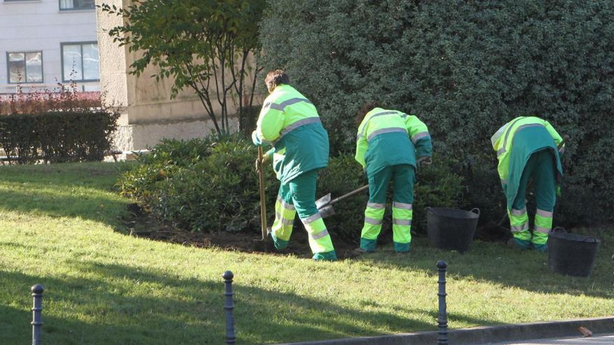 Empleados municipales trabajando en una jardinera en Ourense. |   // IÑAKI OSORIO