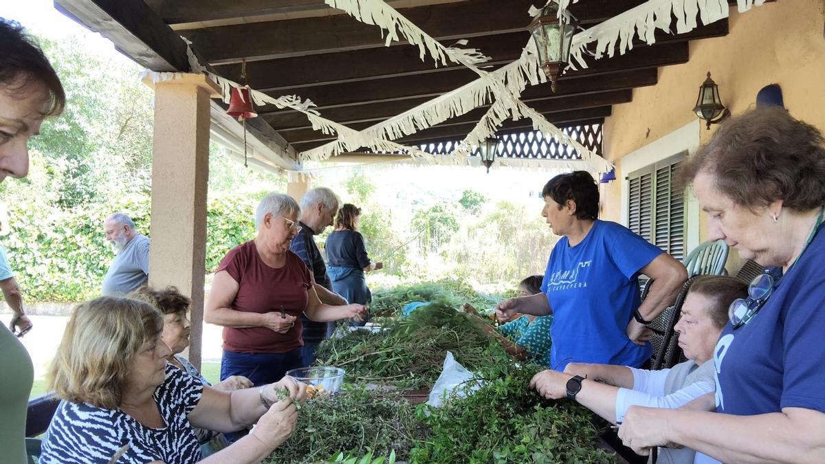 FOTOS | La elaboración de hierbas mallorquinas