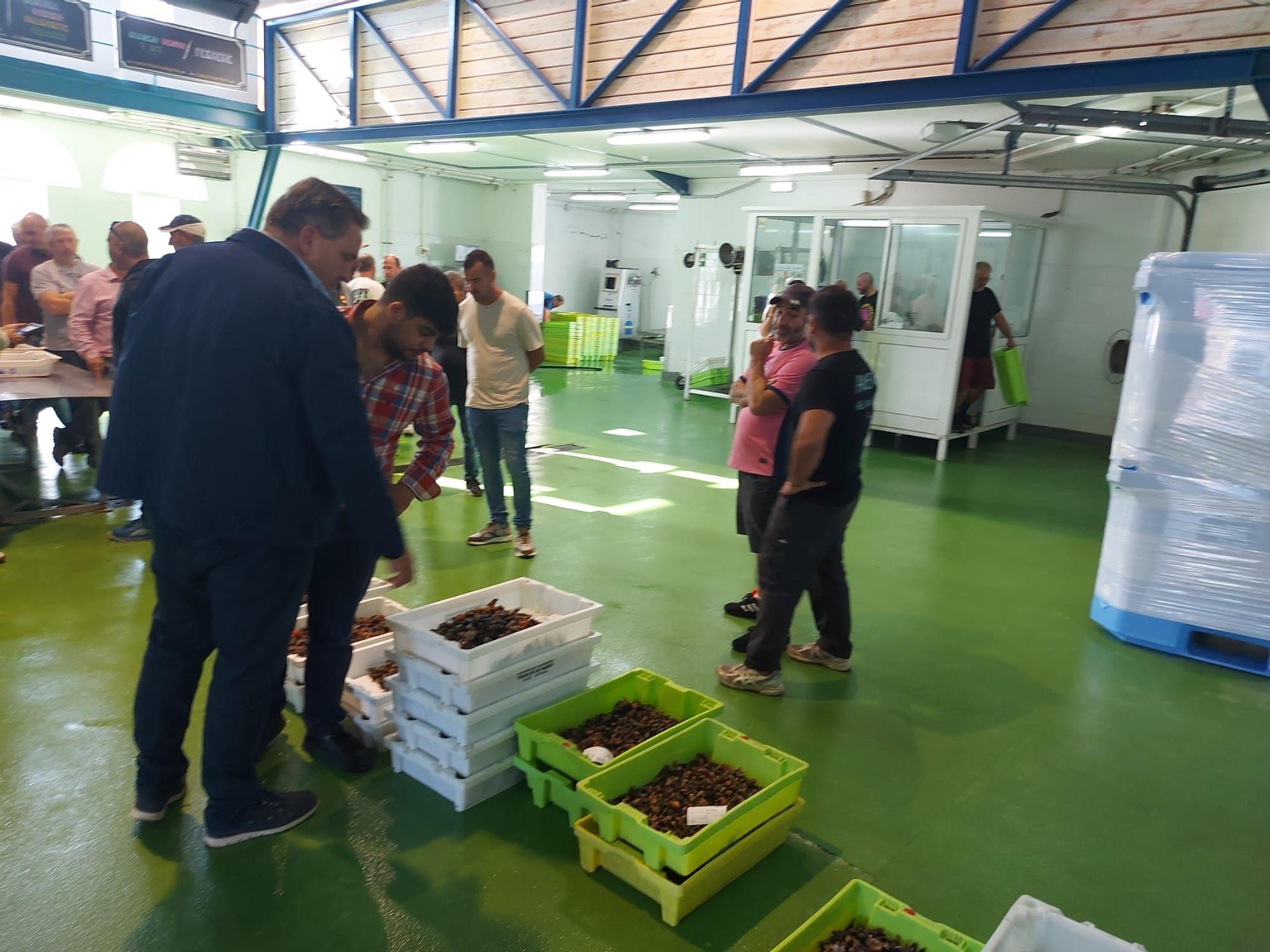 En imágenes: La primera subasta de percebe de la temporada en la rula de Puerto de Vega