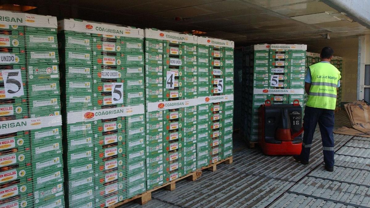 Imagen de archivo de exportación de tomates desde el Puerto de Las Palmas.
