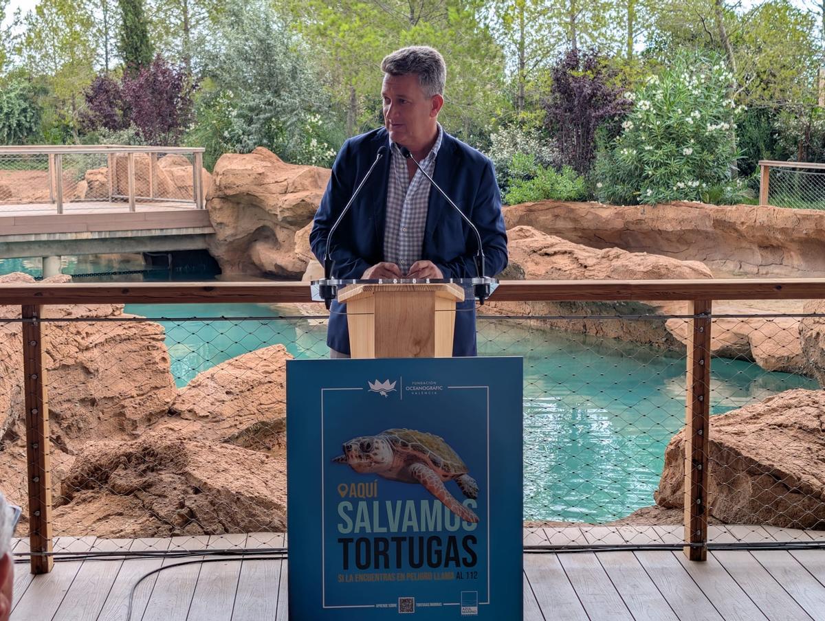 GALERÍA I La presentación de la nueva campaña para rescatar tortugas marinas, en imágenes