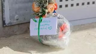 La violencia machista golpea a Castellón: una semana de dolor y consternación