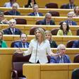 La portavoz del Partido Popular en el Senado, Alicia García Rodríguez, durante una sesión plenaria en el Senado, a 23 de abril de 2024, en Madrid (España). Hoy la oposición pregunta al Gobierno, entre otras cuestiones, por el aumento del precio de la vivi