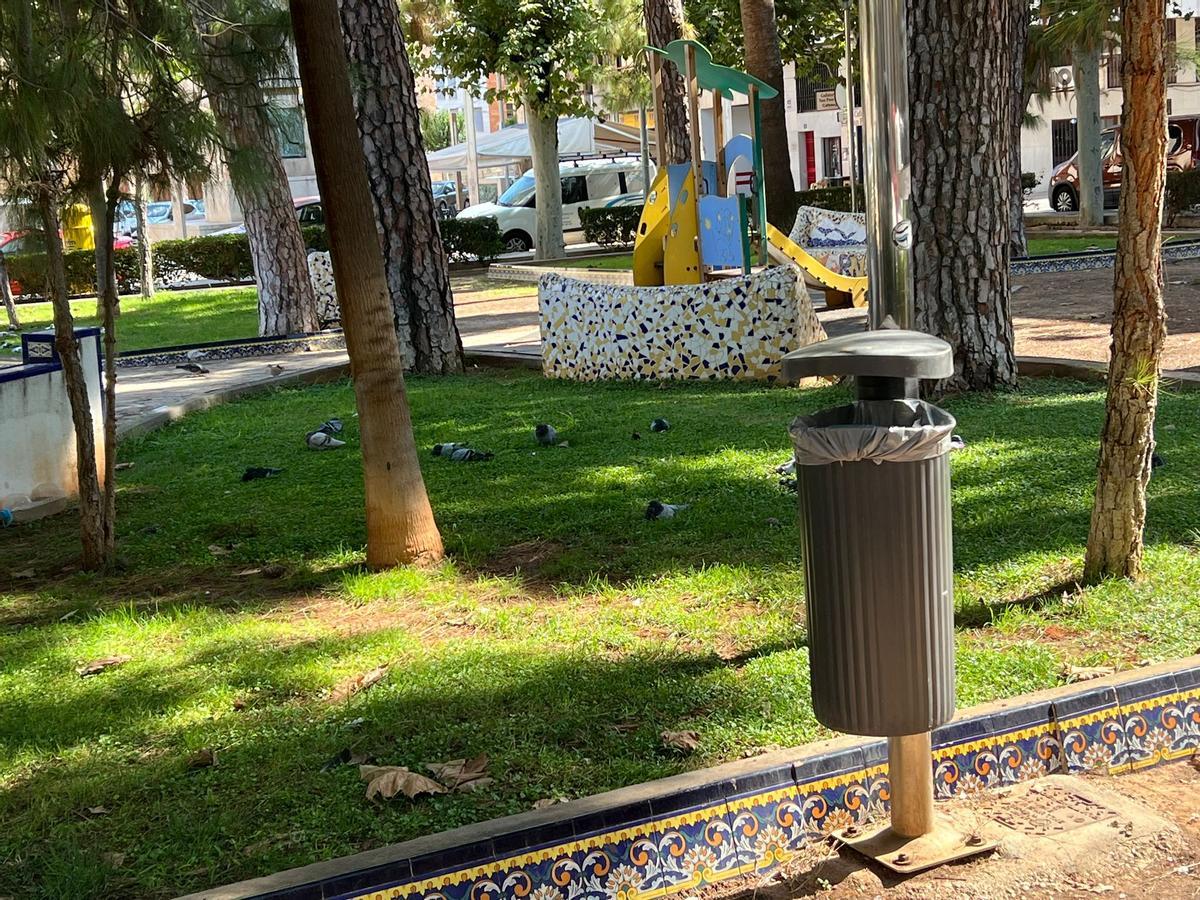 Fotogalería I Las palomas y tórtolas 'toman' el emblemático jardín de Sant Pasqual de Vila-real