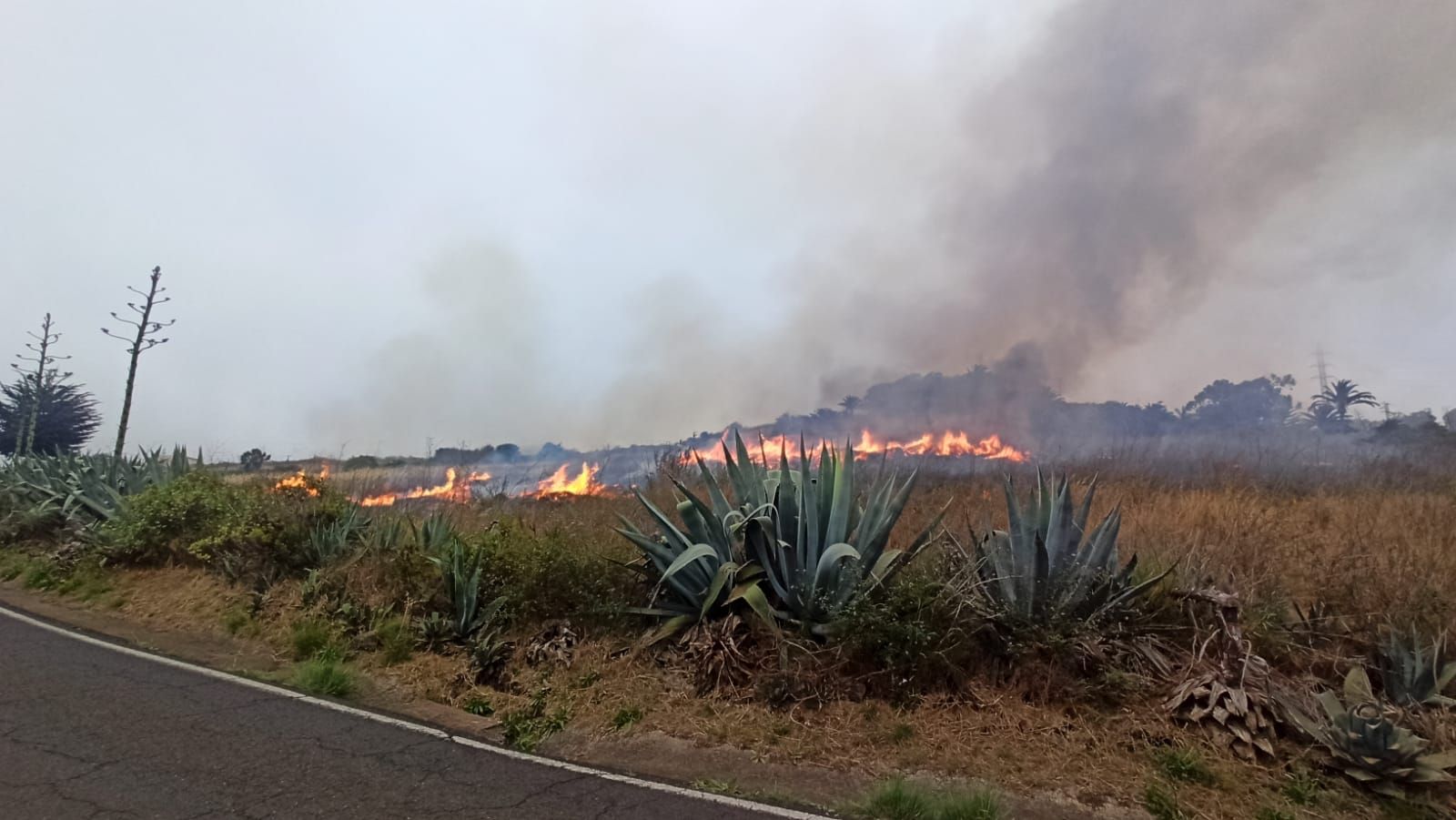 Conato de incendio en Guía, Gran Canaria