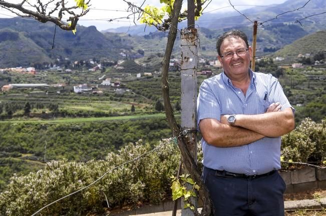 REPORTAJE BODEGA LA MONTAÑA