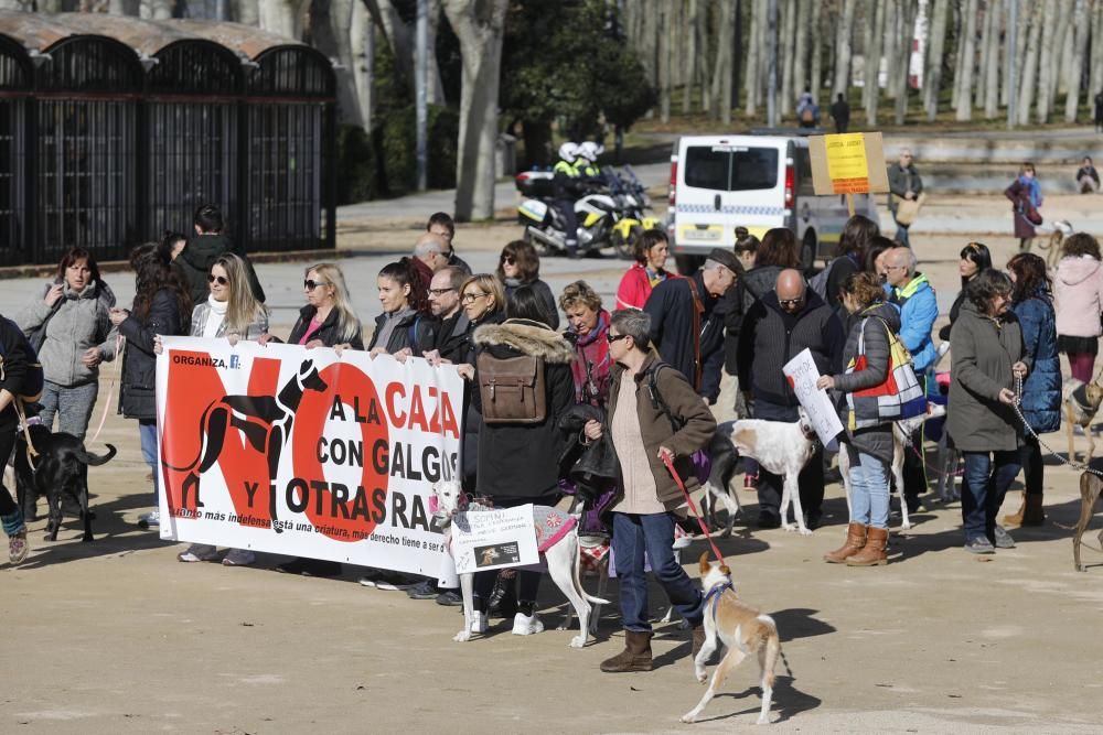 Manifestació contra la caça a Girona