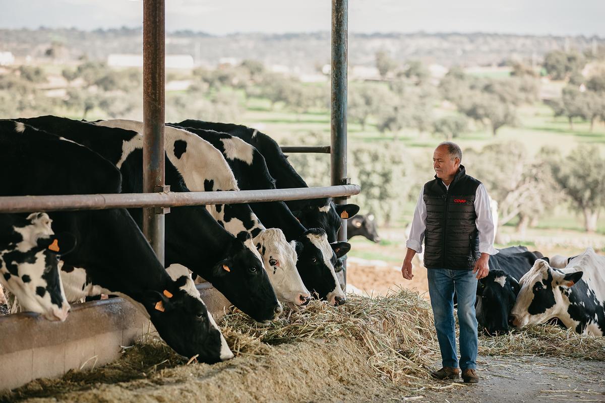 Francisco Eugenio Sánchez, ganadero de vacuno de leche de COVAP