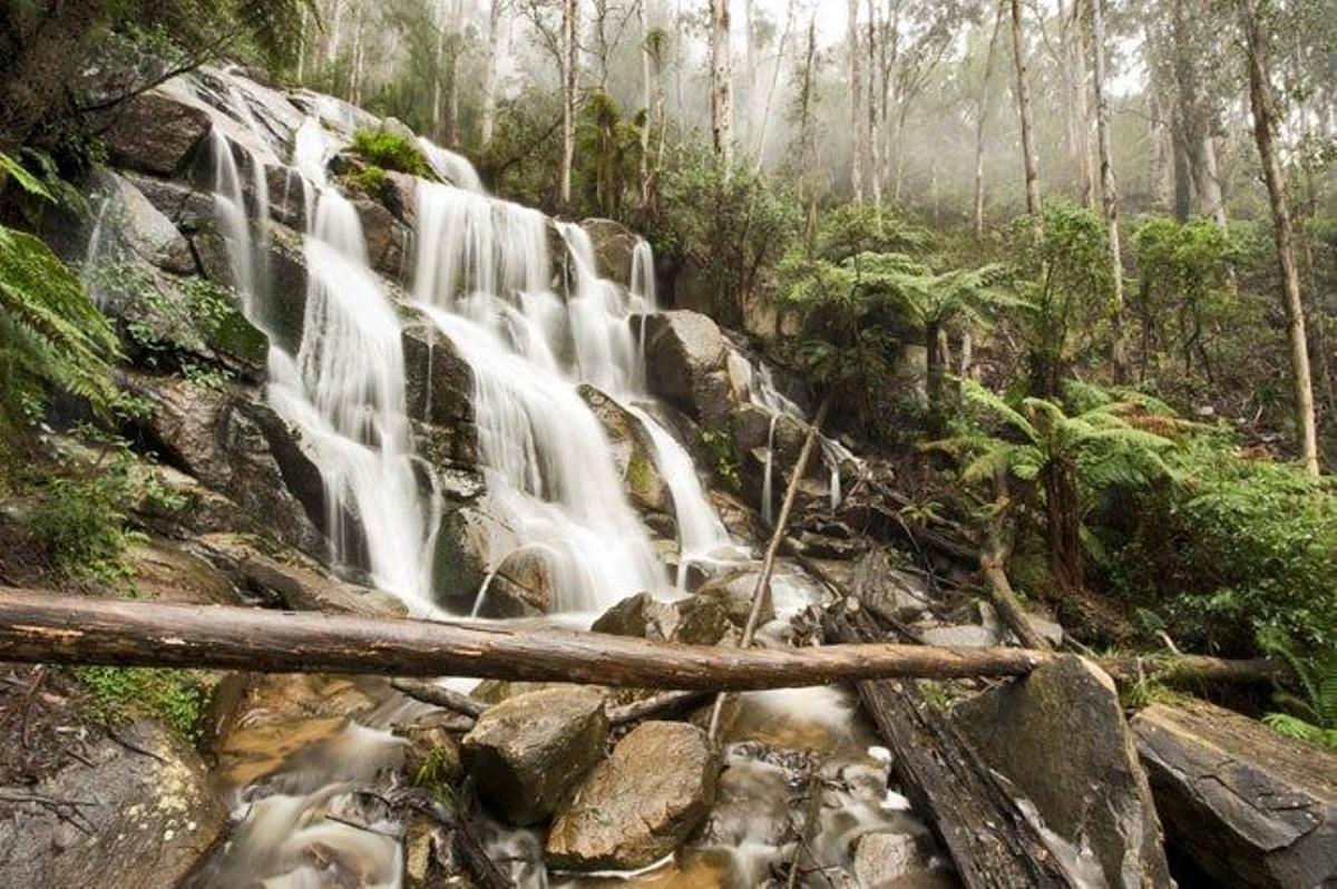 Cataratas Toorongo en Noojee, Victoria (Australia).