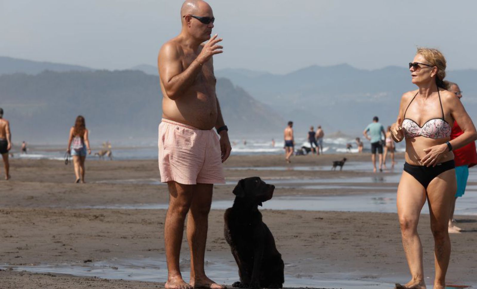 Juan Vicente Vélez, con «Telmo», su labrador. | M. VILLAMUZA