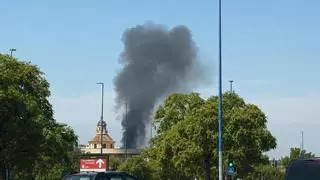 Un incendio de vegetación provoca una gran columna de humo junto al río Guadalquivir, entre Triana y Camas