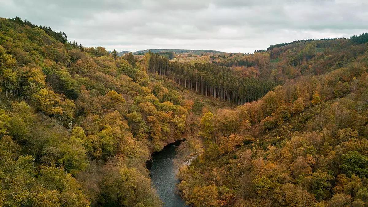 Paisajes de otoño en el Parque Natural de las Ardenas