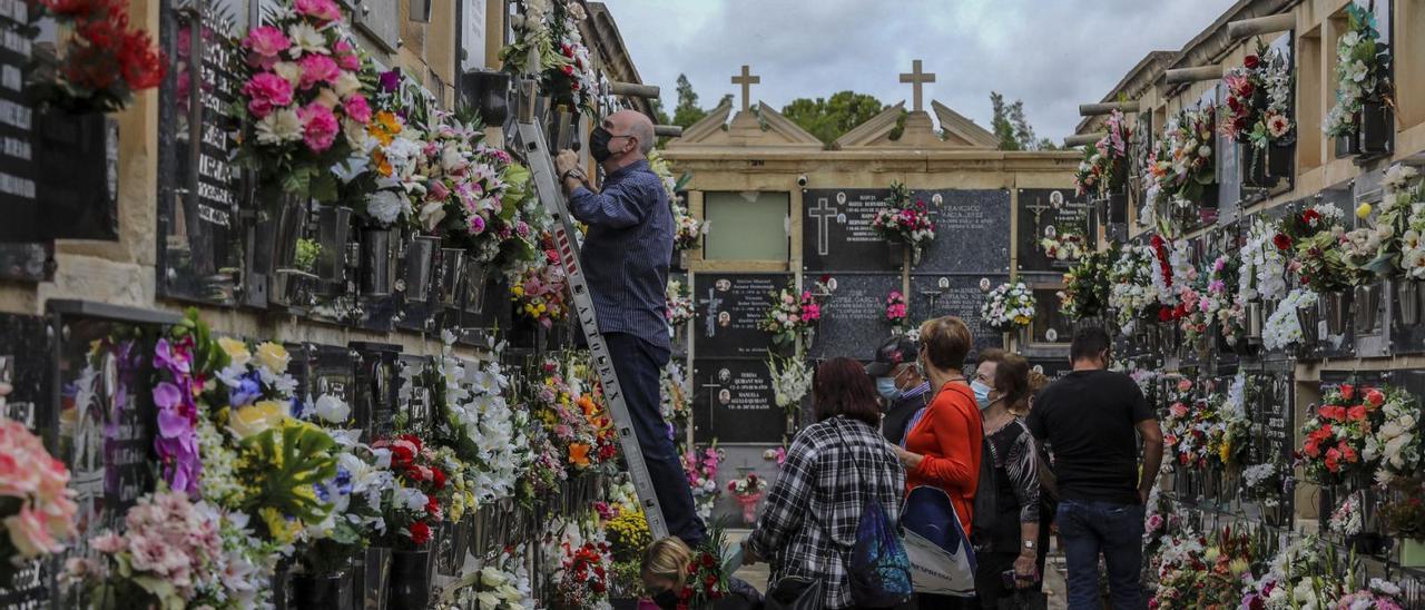Varias personas en un cementerio de la provincia en torno a la festividad de Todos los Santos el pasado noviembre. | ANTONIO AMORÓS