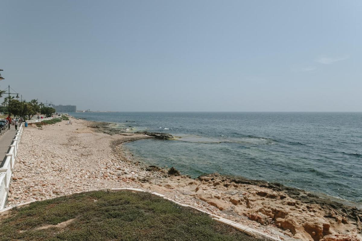 Torrevieja estrena en junio playas para perros y aplaza la consulta sobre su ubicación definitiva