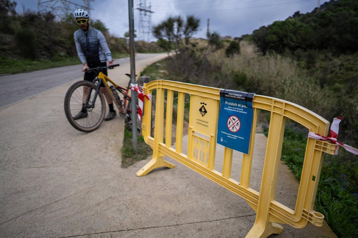 El parque de Parque Natural de la Serra de Collserola , cerrado al público desde el jueves 12 de marzo de 2026