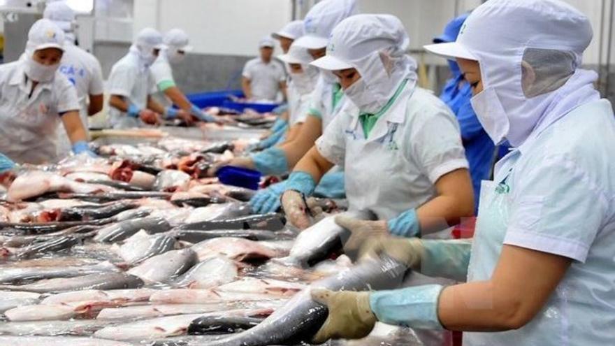 ¡Atención! Médicos y expertos nutricionistas recomientan no consumir estos pesscados