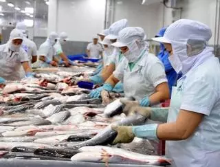 ¡Atención! Médicos y expertos nutricionistas recomiendan no consumir estos pescados