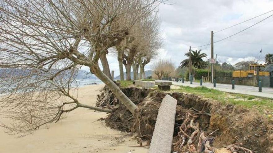 Imagen de los dos árboles caídos sobre el arenal de Agrelo, en Bueu.  // Santos Álvarez