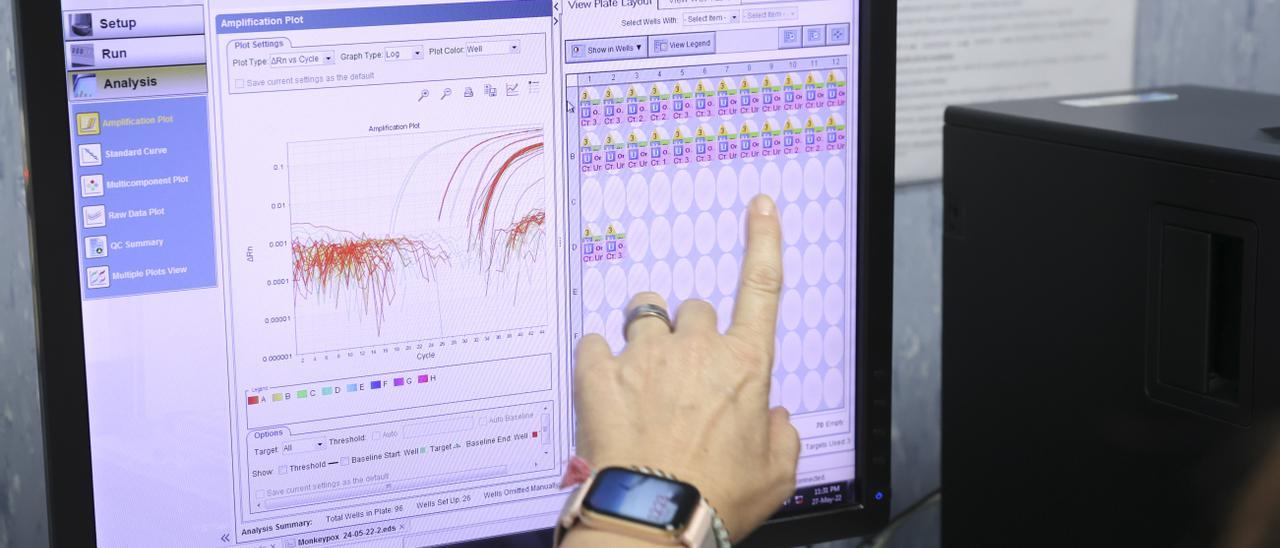 Los casos confirmados de viruela del mono se están incrementando.