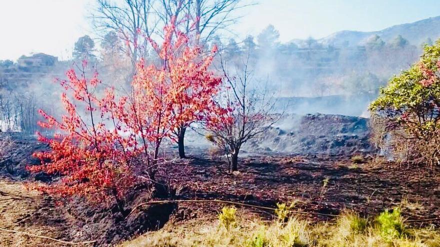 Medios aéreos intervienen en un incendio en La Torre de les Maçanes