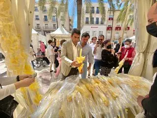 La Diputación encargará a la UA un estudio para traer el tranvía a Elche