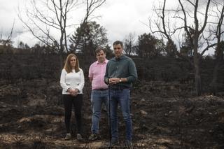 Sánchez anuncia dos millones para la recuperación de la comarca de Zamora afectada por el incendio