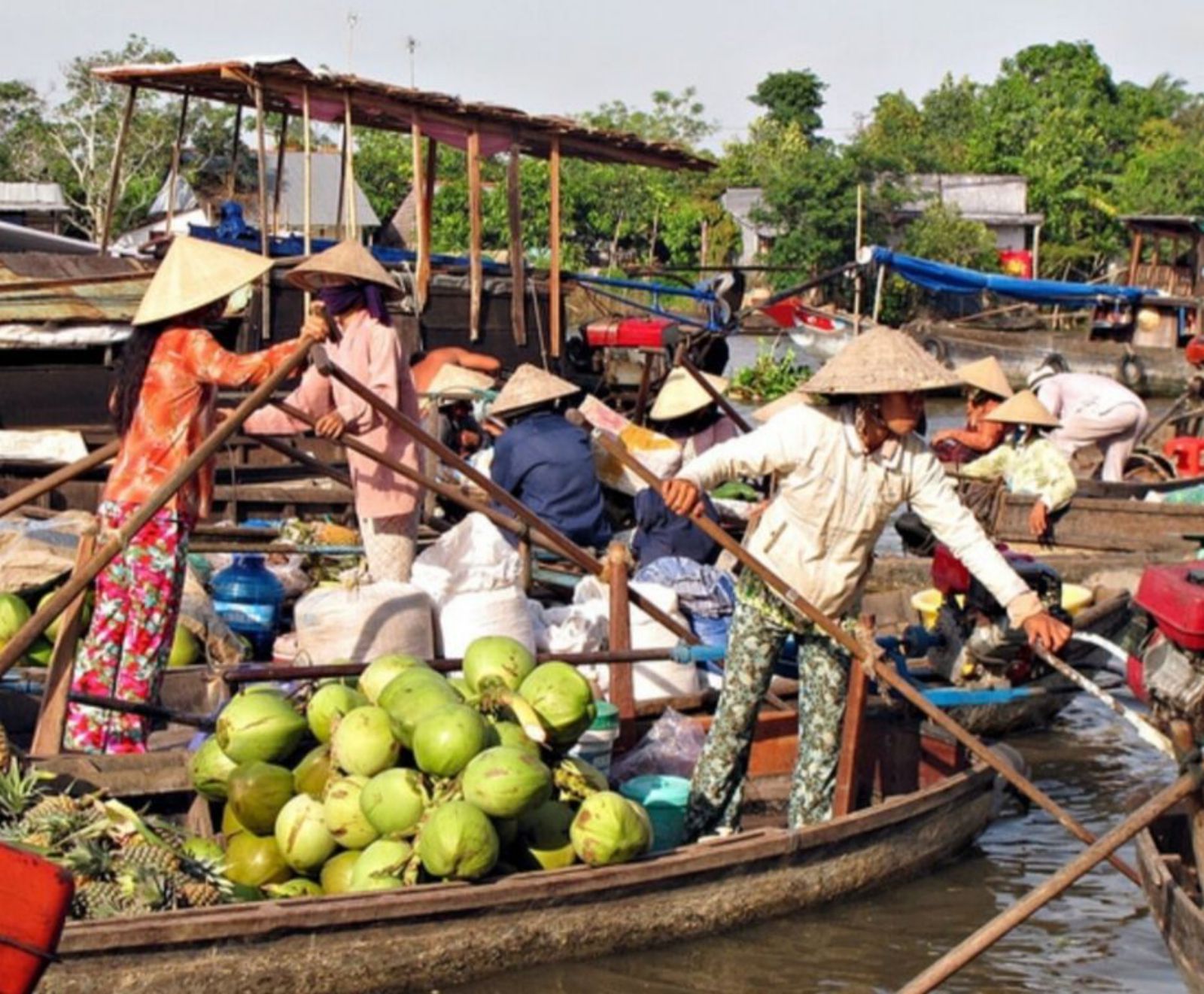 Delta del río Mekong en Vietnam, donde el mercadeo y el transporte se hacen en barco.  