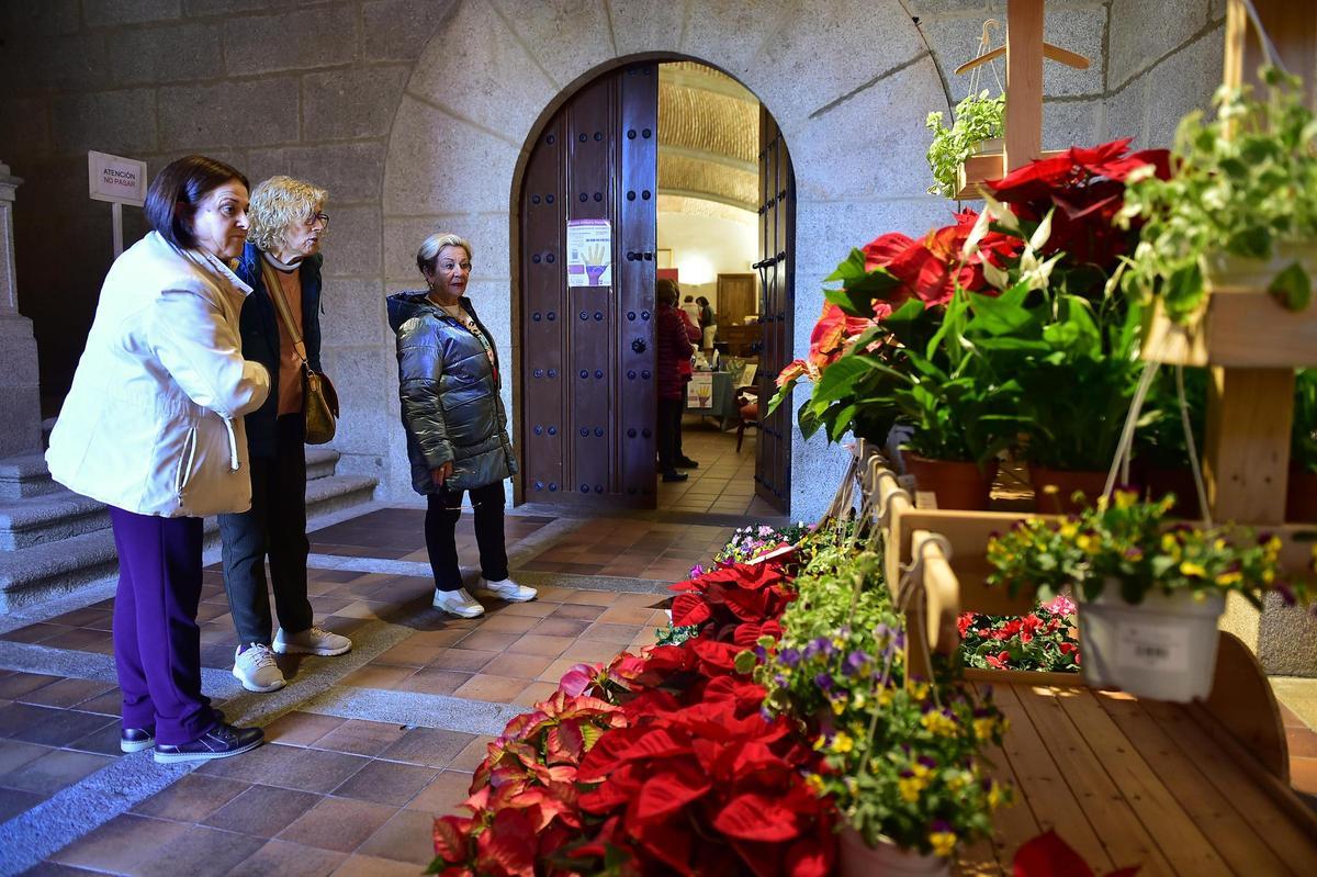 Plasencia abre su ayuntamiento para un rastrillo a beneficio de mujeres de Venezuela.