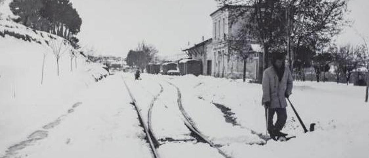 Imagen del tren de la línea VAY.