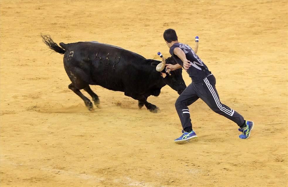 Mejores momentos de las Vaquillas