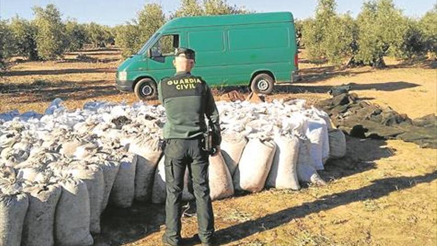 Córdoba es la cuarta provincia de España con más robos en el campo