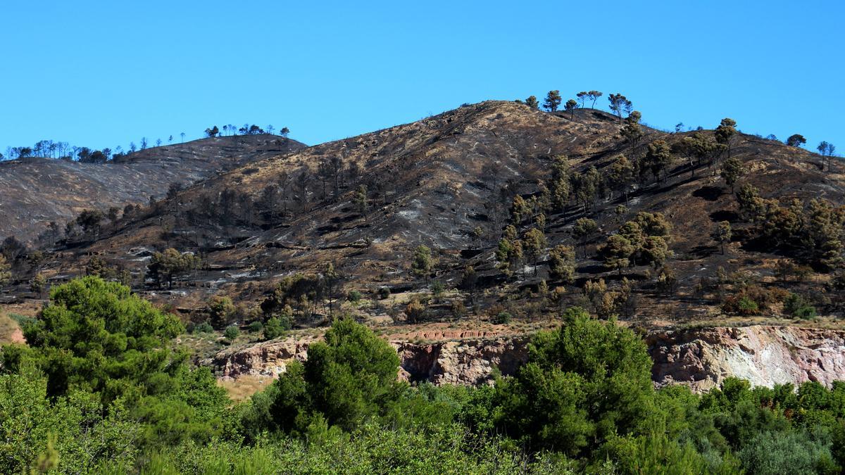 Imagen del terreno calcinado en uno de los último incendios que afectó a la Calderona