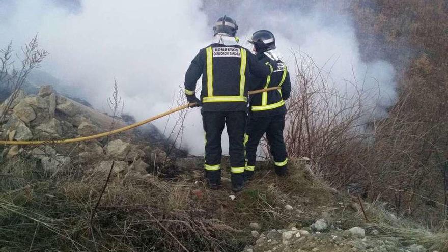 Sofocado un incendio en Vigo de Sanabria