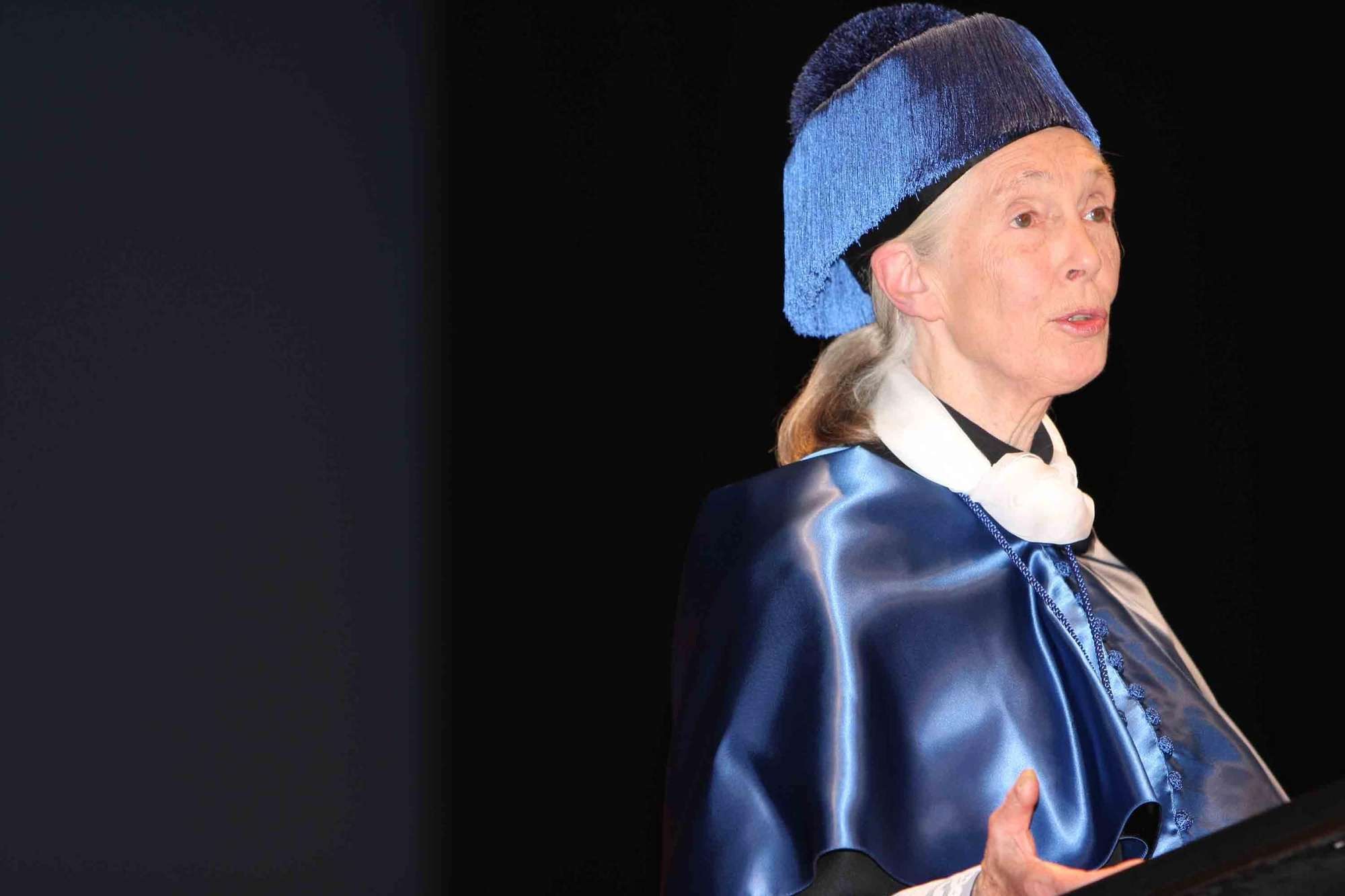 Fallece Jane Goodall, madrina de Primadomus y ‘honoris causa’ por la Universidad de Alicante