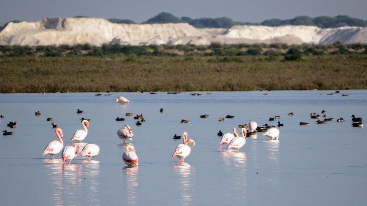 Se sale muy rápido y luego cuesta trabajo entrar