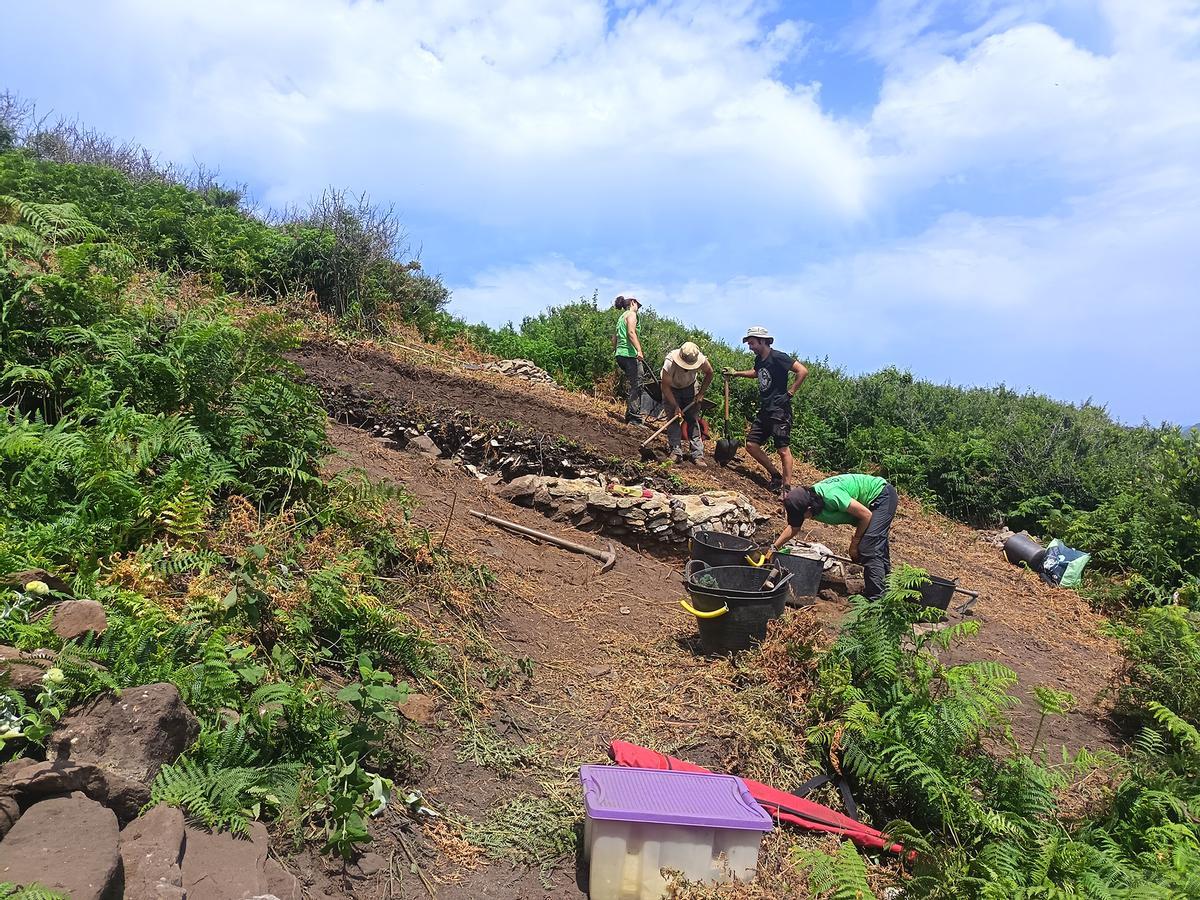 Los trabajos en la ladera que conecta el castro de Castelo dos Mouros con la playa de Canexol, en la isla de Ons.