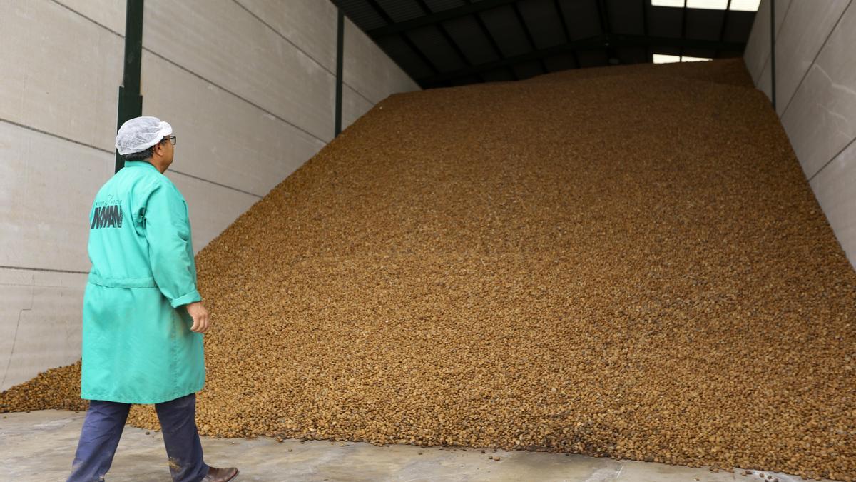 La almendra estadounidense es una de las principales competidoras de las alicantinas y de la Comunidad.