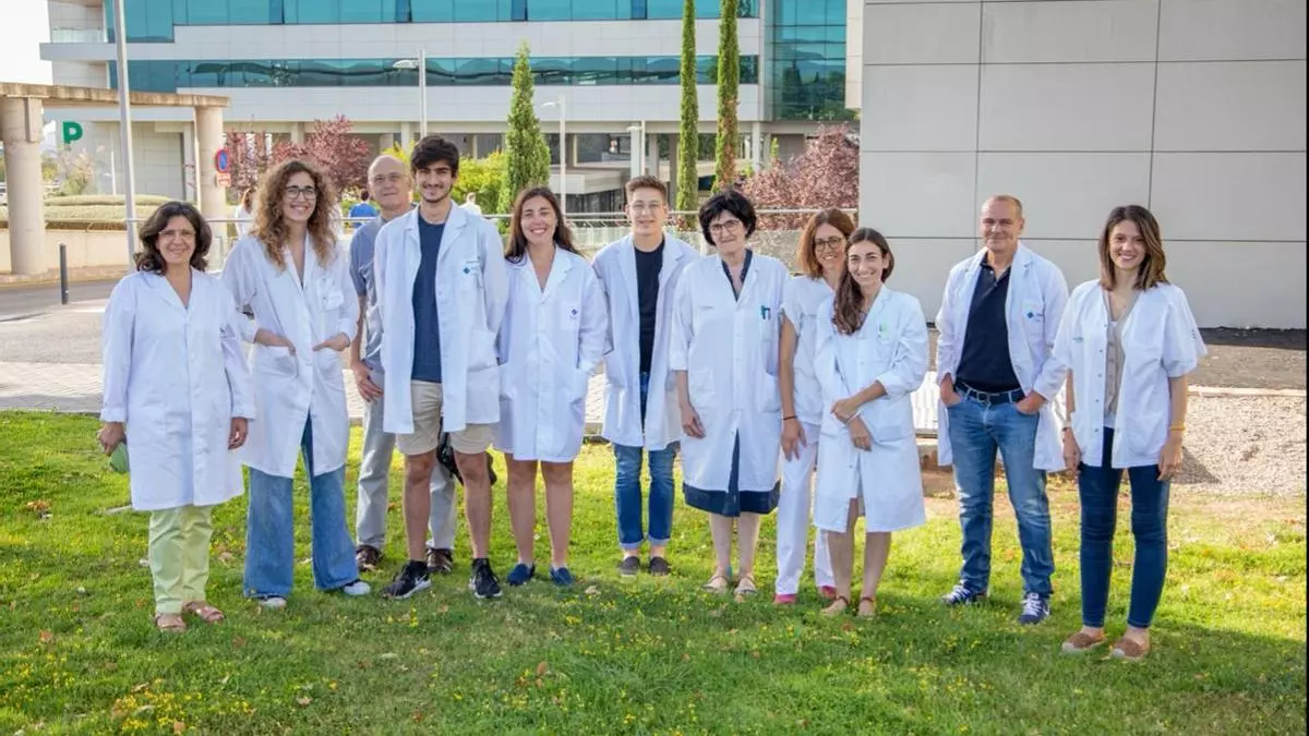 Investigadores de la UIB hallan una proteína que repara los daños de un ictus
