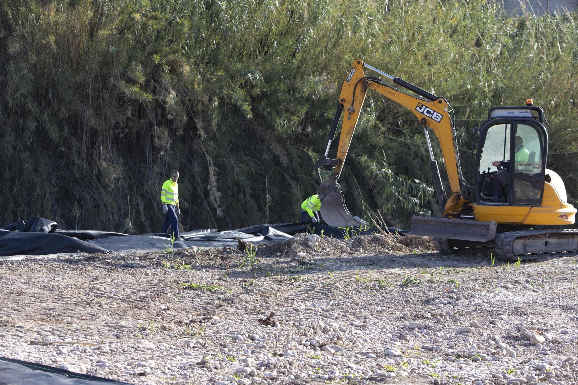 Recuperación del bosque de ribera en el río Albaida