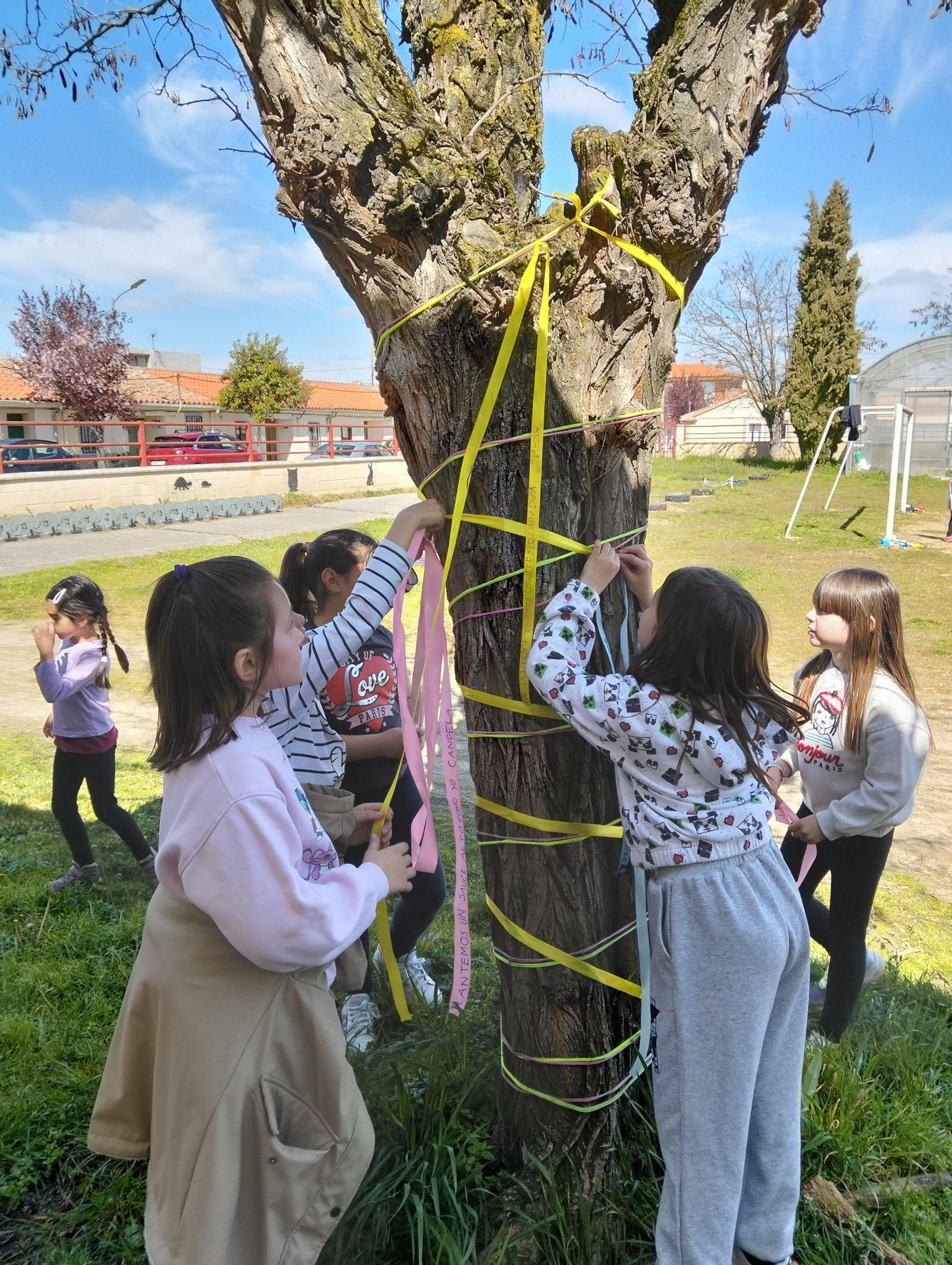 Educación ambiental del colegio Nuestra Señora de la Paz en Villaralbo.