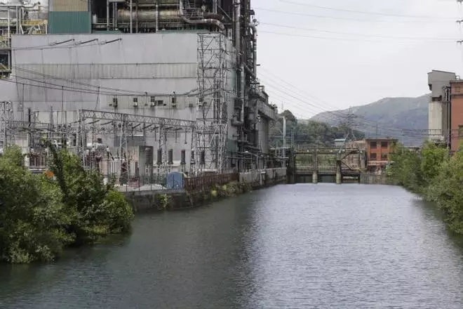 Vía libre a las truchas: la retirada de la presa de la térmica “dará vida” al Nalón